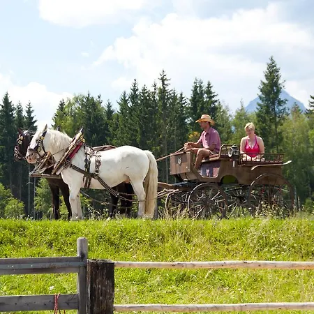 Gasthof Pürcherhof 3*