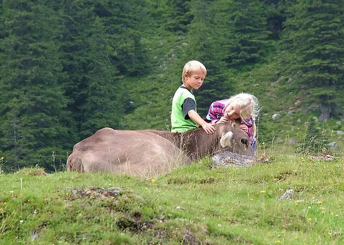 Puercherhof Pensjonat Grobming