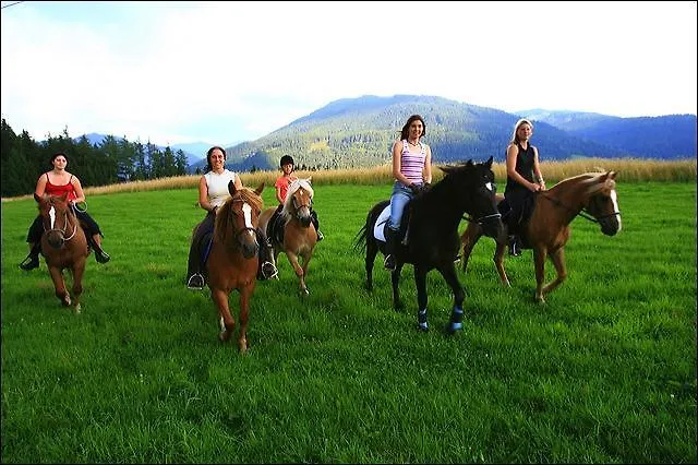 Puercherhof 3* غوربمينغ