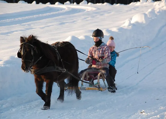 Gasthuis Puercherhof 3*